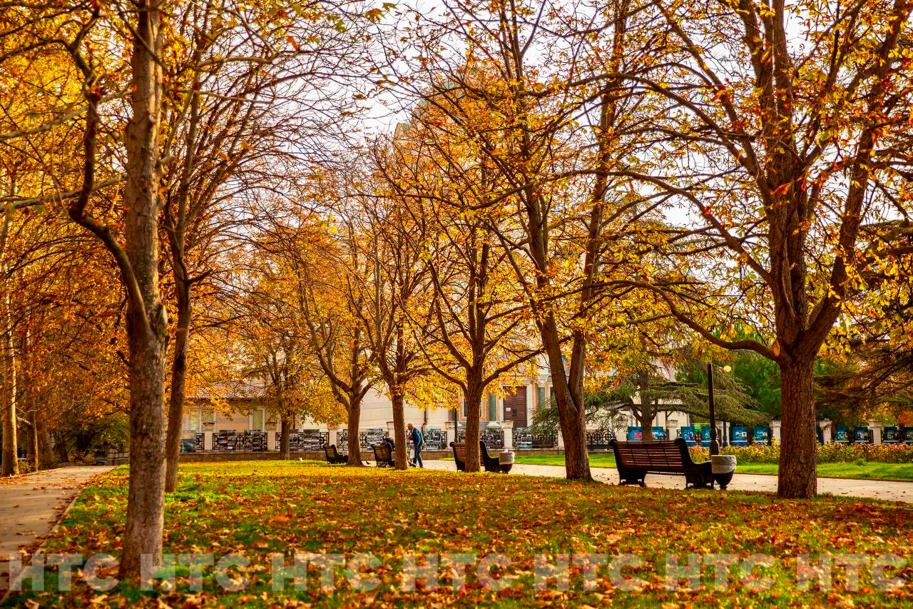 Ноябрь без шапки: как выглядит Севастополь, пока в Сибири уже идёт снег Ноябрь без шапки: как выглядит Севастополь, пока в Сибири уже идёт снег