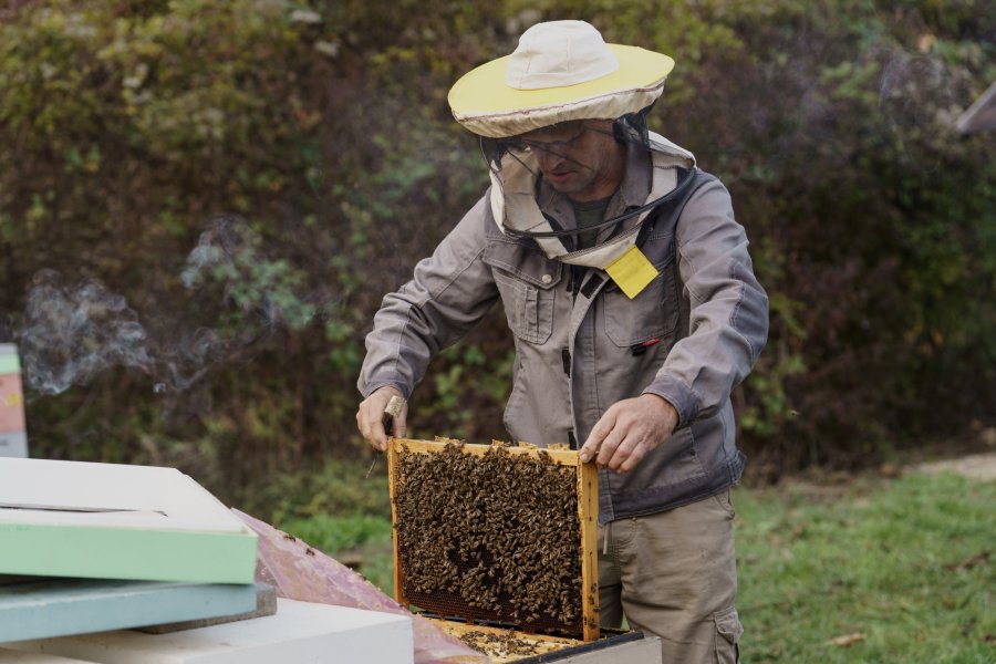 Севастополь поддерживает пчеловодов: благодаря господдержке фермеры развивают пасеки даже в засушливые годы Севастополь поддерживает пчеловодов: благодаря господдержке фермеры развивают пасеки даже в засушливые годы