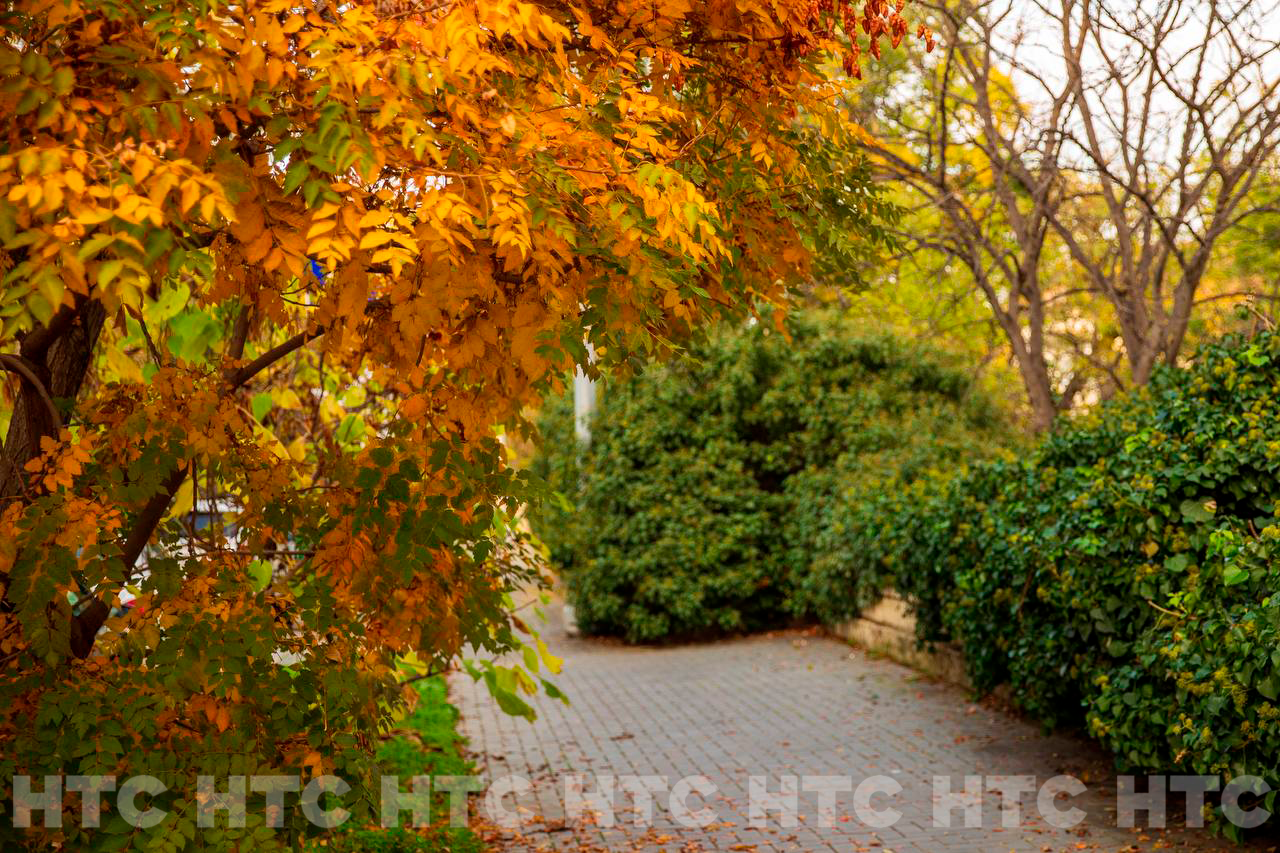 Ноябрь без шапки: как выглядит Севастополь, пока в Сибири уже идёт снег Ноябрь без шапки: как выглядит Севастополь, пока в Сибири уже идёт снег