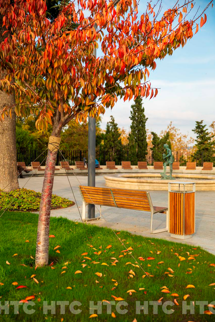 Ноябрь без шапки: как выглядит Севастополь, пока в Сибири уже идёт снег Ноябрь без шапки: как выглядит Севастополь, пока в Сибири уже идёт снег