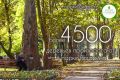 Рубрика #паркиВцифрах. Более 4500 деревьев произрастают в парке Гагарина