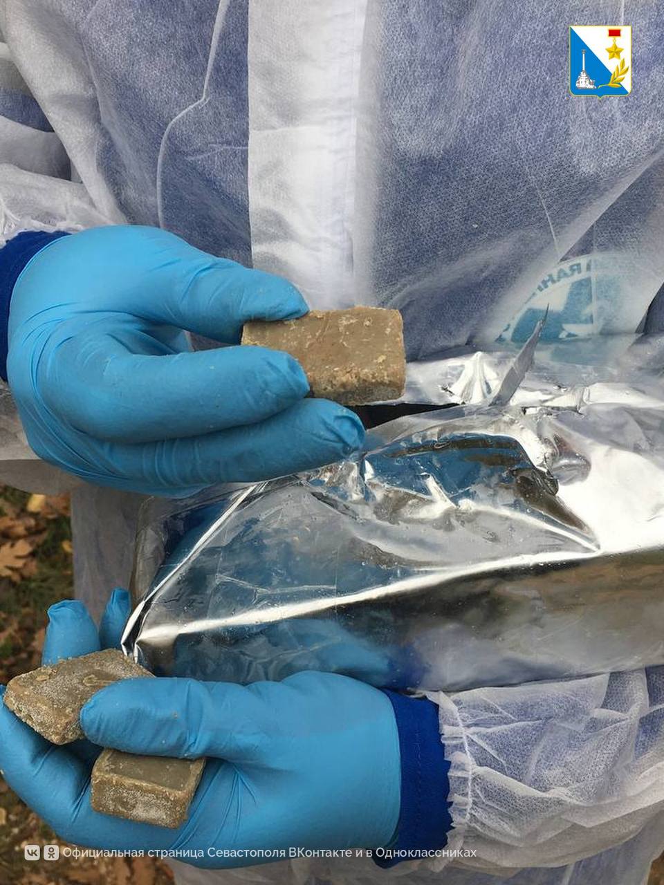 Защита от бешенства. В Севастополе вакцинируют диких животных от бешенства Защита от бешенства. В Севастополе вакцинируют диких животных от бешенства