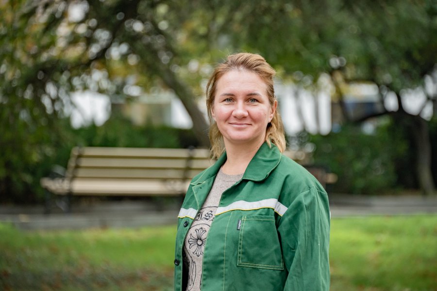 Более 250 тысяч луковиц цветов высадят в клумбы города Более 250 тысяч луковиц цветов высадят в клумбы города