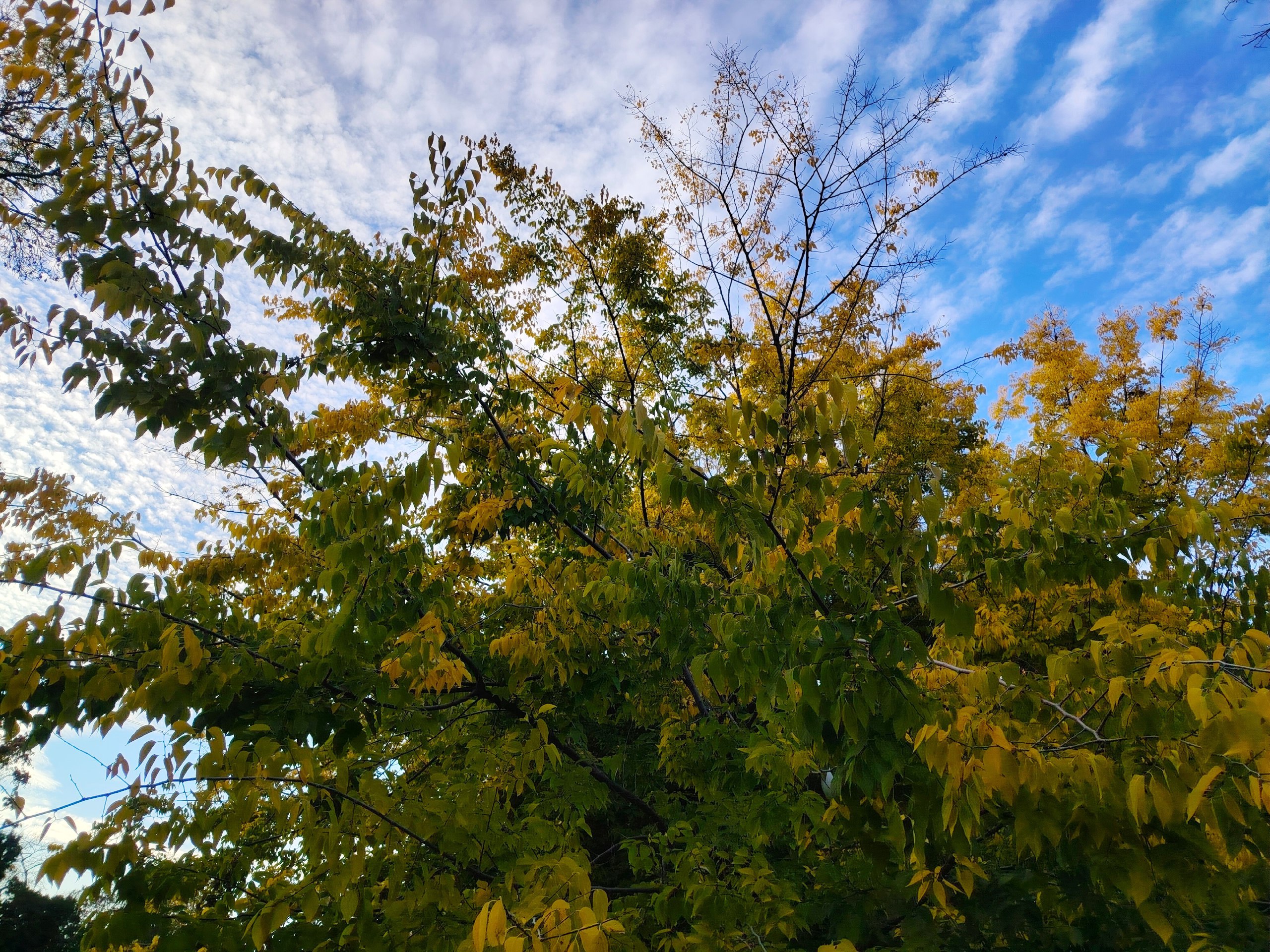 С добрым утром, Армянск!. Пусть утренний позитивный настрой подарит Вам замечательный день