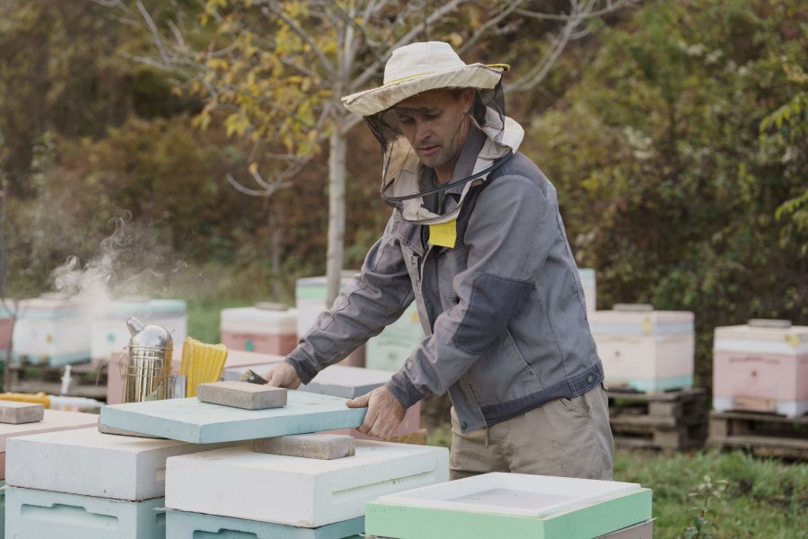 Севастополь поддерживает пчеловодов: благодаря господдержке фермеры развивают пасеки даже в засушливые годы Севастополь поддерживает пчеловодов: благодаря господдержке фермеры развивают пасеки даже в засушливые годы