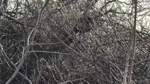 Найди своё призвание!. Будь настоящим патриотом, выбирай службу по контракту в Вооружённых Силах России