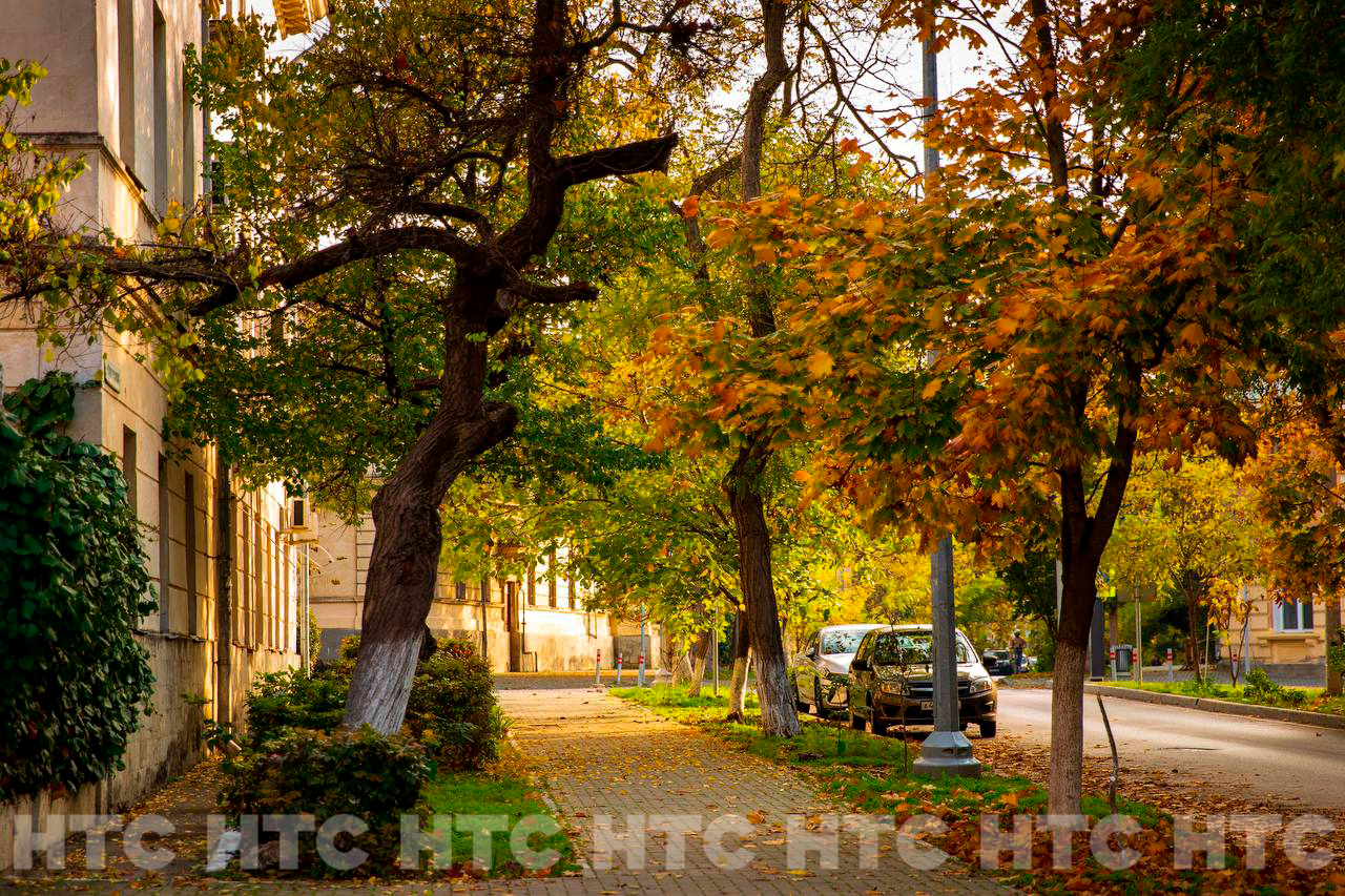 Ноябрь без шапки: как выглядит Севастополь, пока в Сибири уже идёт снег Ноябрь без шапки: как выглядит Севастополь, пока в Сибири уже идёт снег