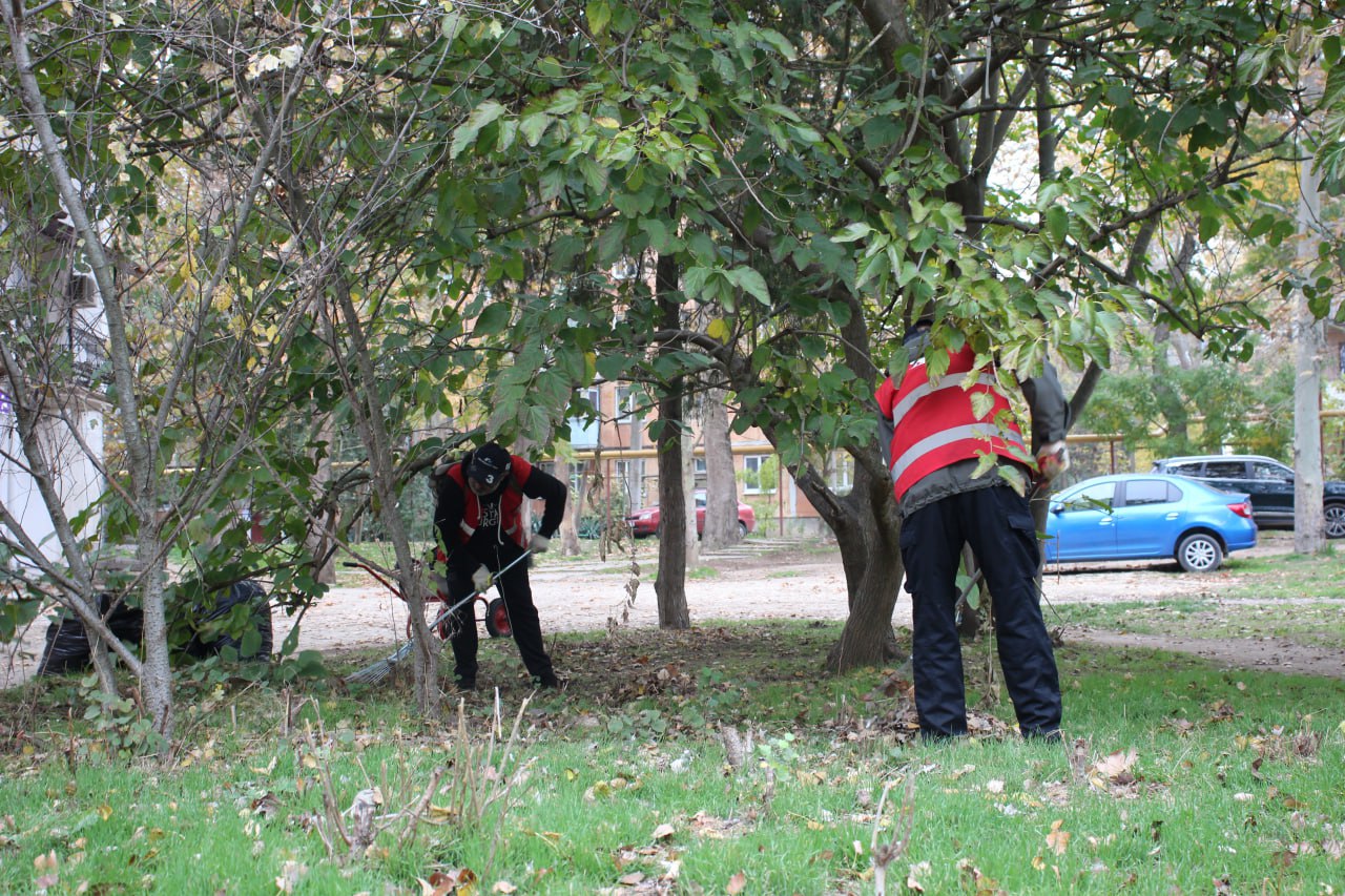 Олег Каторгин: От 70 до 120 мешков листвы Олег Каторгин: От 70 до 120 мешков листвы