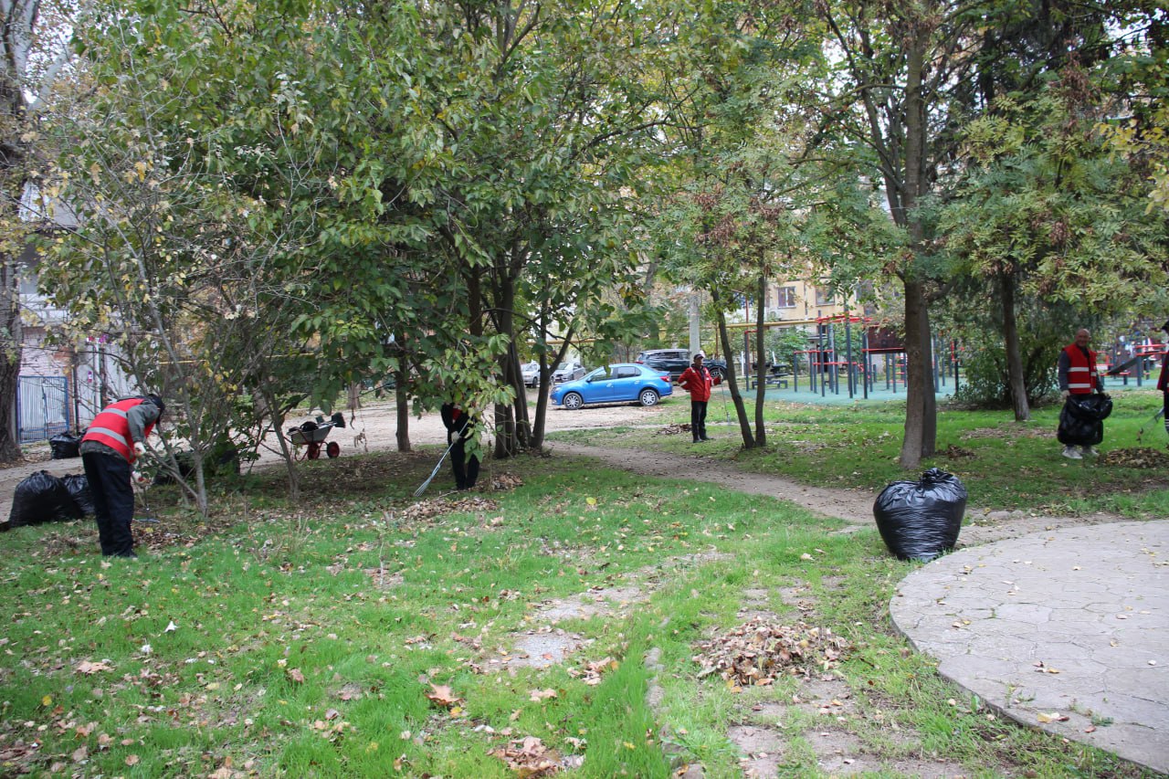 Олег Каторгин: От 70 до 120 мешков листвы Олег Каторгин: От 70 до 120 мешков листвы