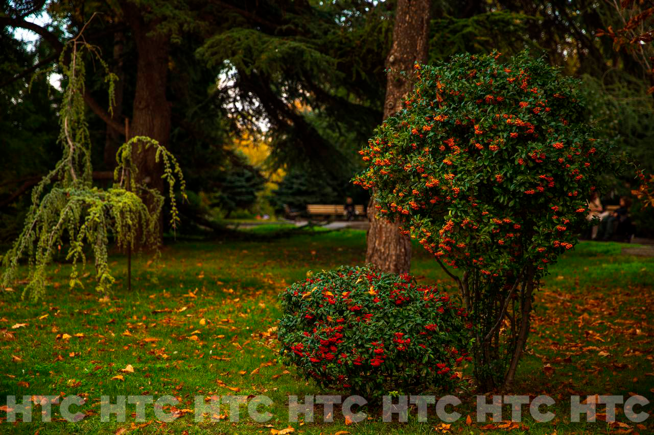 Ноябрь без шапки: как выглядит Севастополь, пока в Сибири уже идёт снег Ноябрь без шапки: как выглядит Севастополь, пока в Сибири уже идёт снег