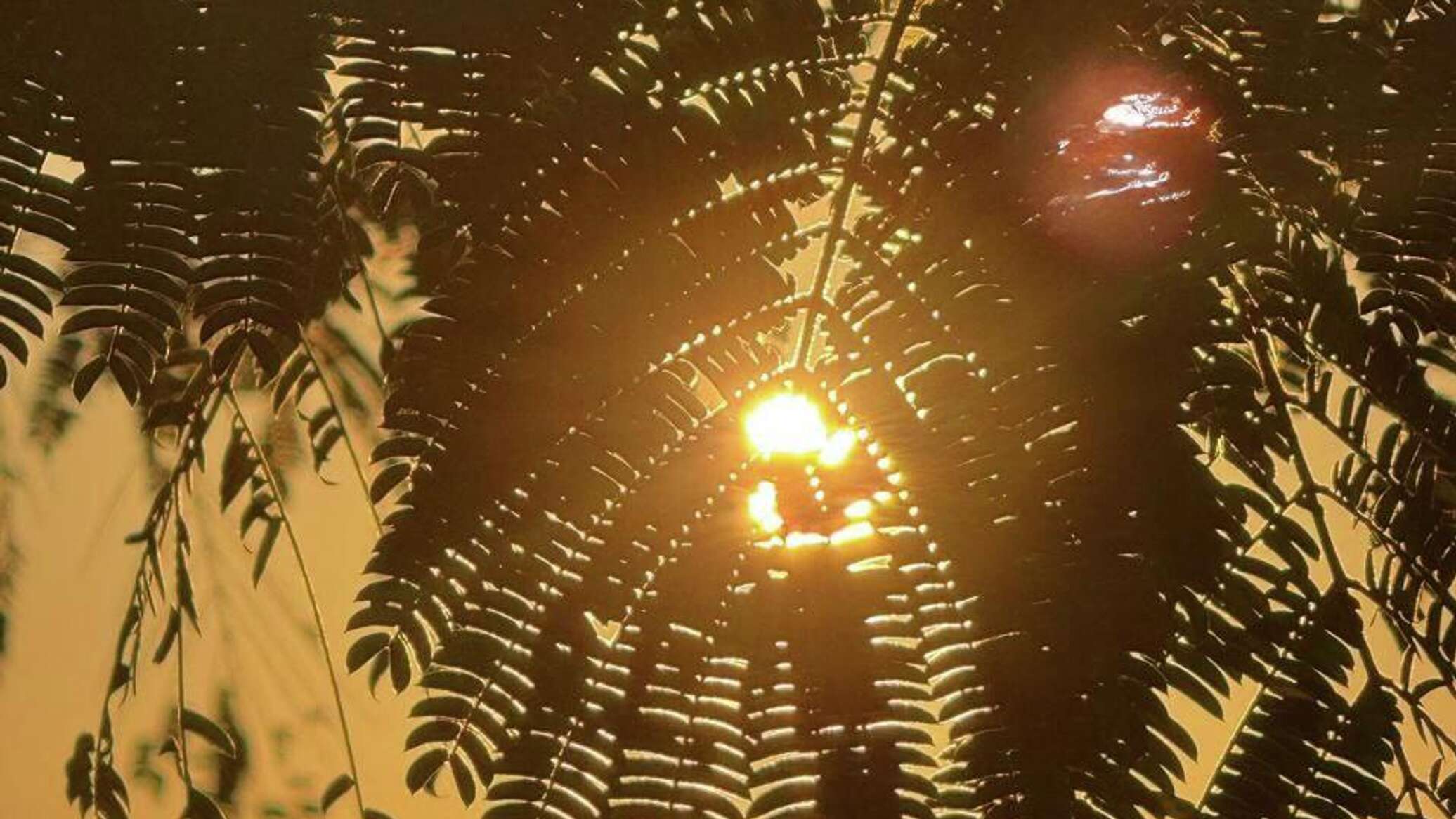 Погода в Крыму в четверг