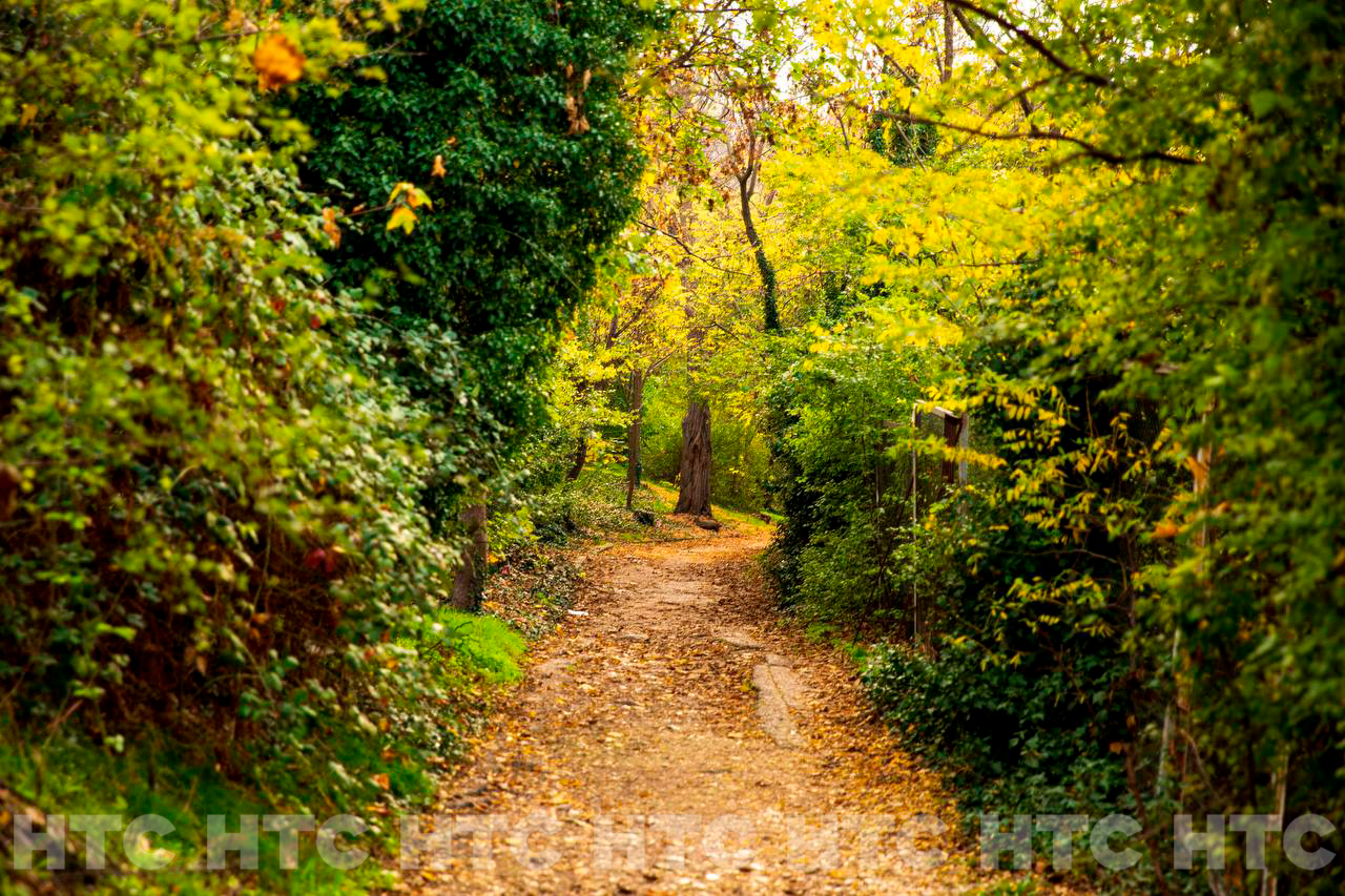 Ноябрь без шапки: как выглядит Севастополь, пока в Сибири уже идёт снег Ноябрь без шапки: как выглядит Севастополь, пока в Сибири уже идёт снег
