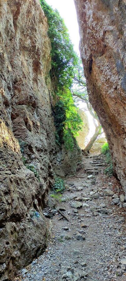 Чтобы не сидели дома: в Крыму водят бесплатные экскурсии для бойцов СВО Чтобы не сидели дома: в Крыму водят бесплатные экскурсии для бойцов СВО