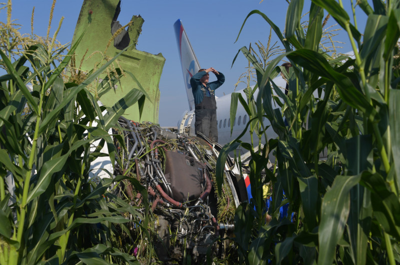 "Чудо на кукурузном поле": Самолет "Уральских авиалиний" после столкновения с птицами мог продолжить полёт, но теоретически и без гарантий "Чудо на кукурузном поле": Самолет "Уральских авиалиний" после столкновения с птицами мог продолжить полёт, но теоретически и без гарантий