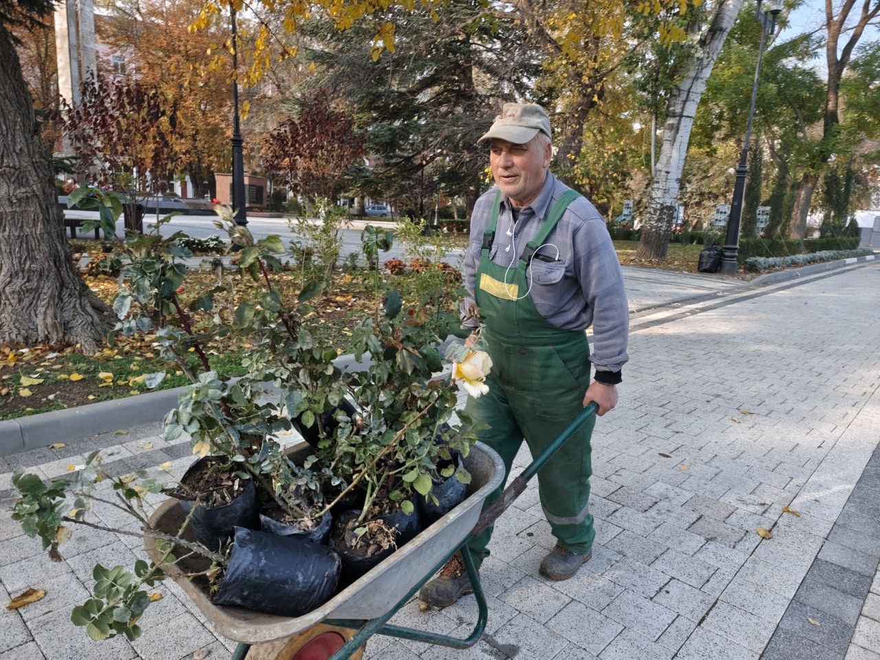 В Феодосии продолжается высадка цветущих многолетников В Феодосии продолжается высадка цветущих многолетников