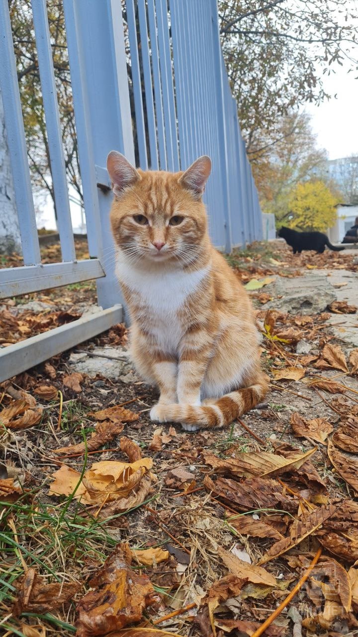 На выходных воздух в Крыму прогреется до +19°