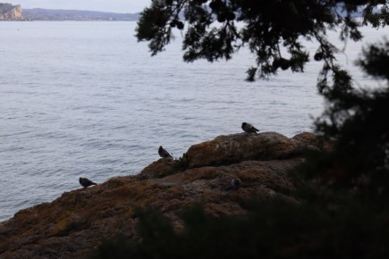 Прогноз погоды в Крыму на 7 ноября