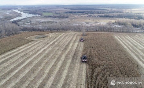 В Крыму с начала года изъяли три участка сельхозземель