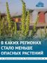Территорий с опасными растениями и вредителями стало меньше на юге России