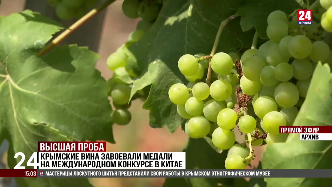 Крымские вина завоевали медали на международном конкурсе в Китае