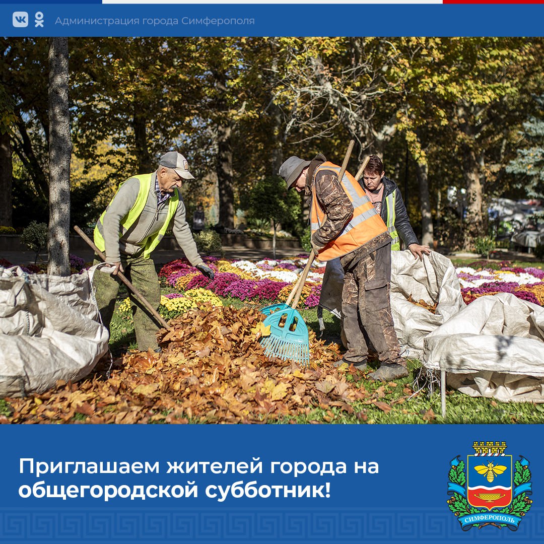 Михаил Афанасьев: Осень — время не только ярких красок, но и большого количества опадающей листвы