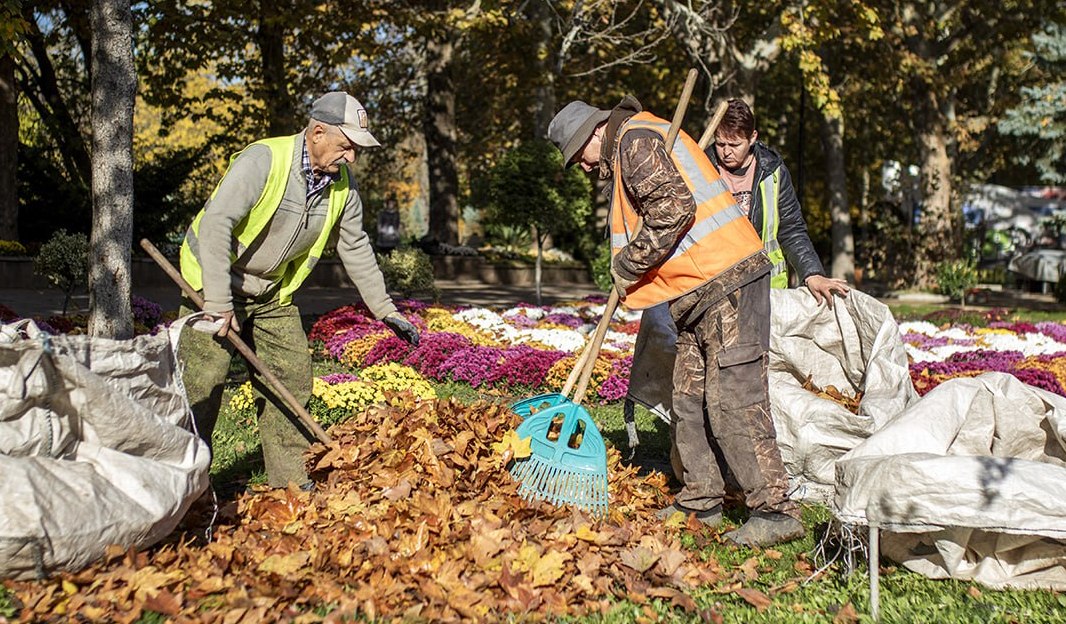Выходной с пользой: жителей Симферополя приглашают на субботник