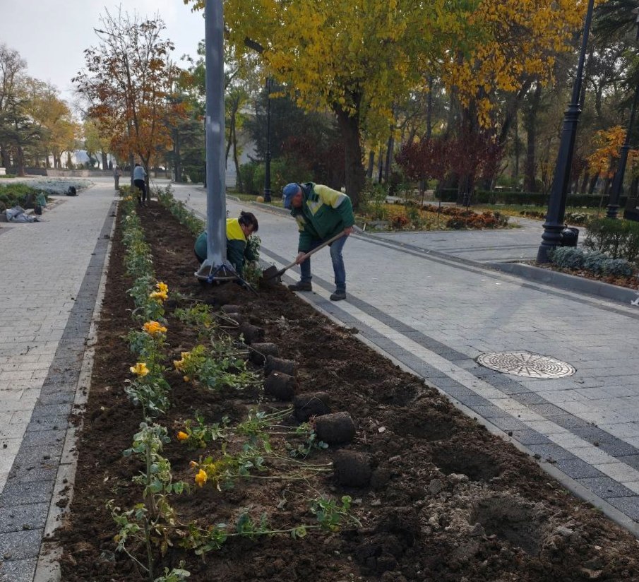 В Феодосии продолжается высадка цветущих многолетников В Феодосии продолжается высадка цветущих многолетников