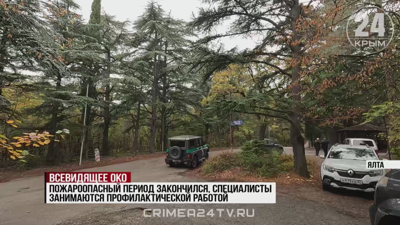 Искусственный интеллект помогает обнаружить и предотвратить пожары на Южнобережье Крыма