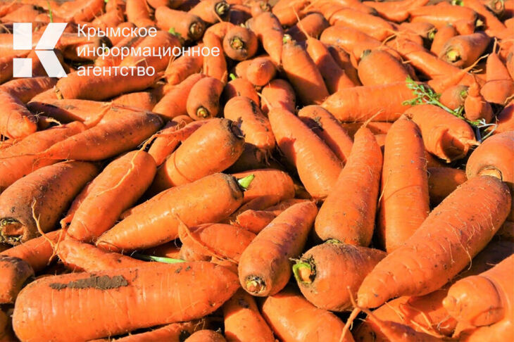 Дачники собирают Крыму около 20 миллионов килограммов урожая в год