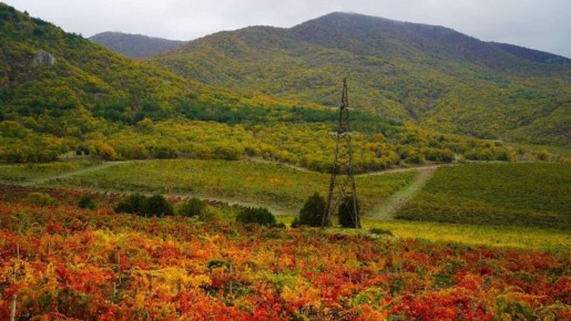 Старое бабье лето: прогноз погоды на выходные в Крыму