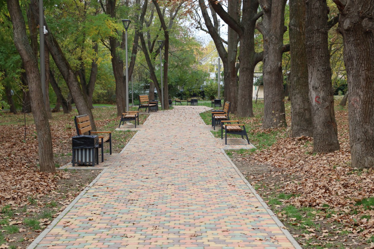 Олег Каторгин: В Керчи до конца месяца высадят около 70 деревьев Олег Каторгин: В Керчи до конца месяца высадят около 70 деревьев