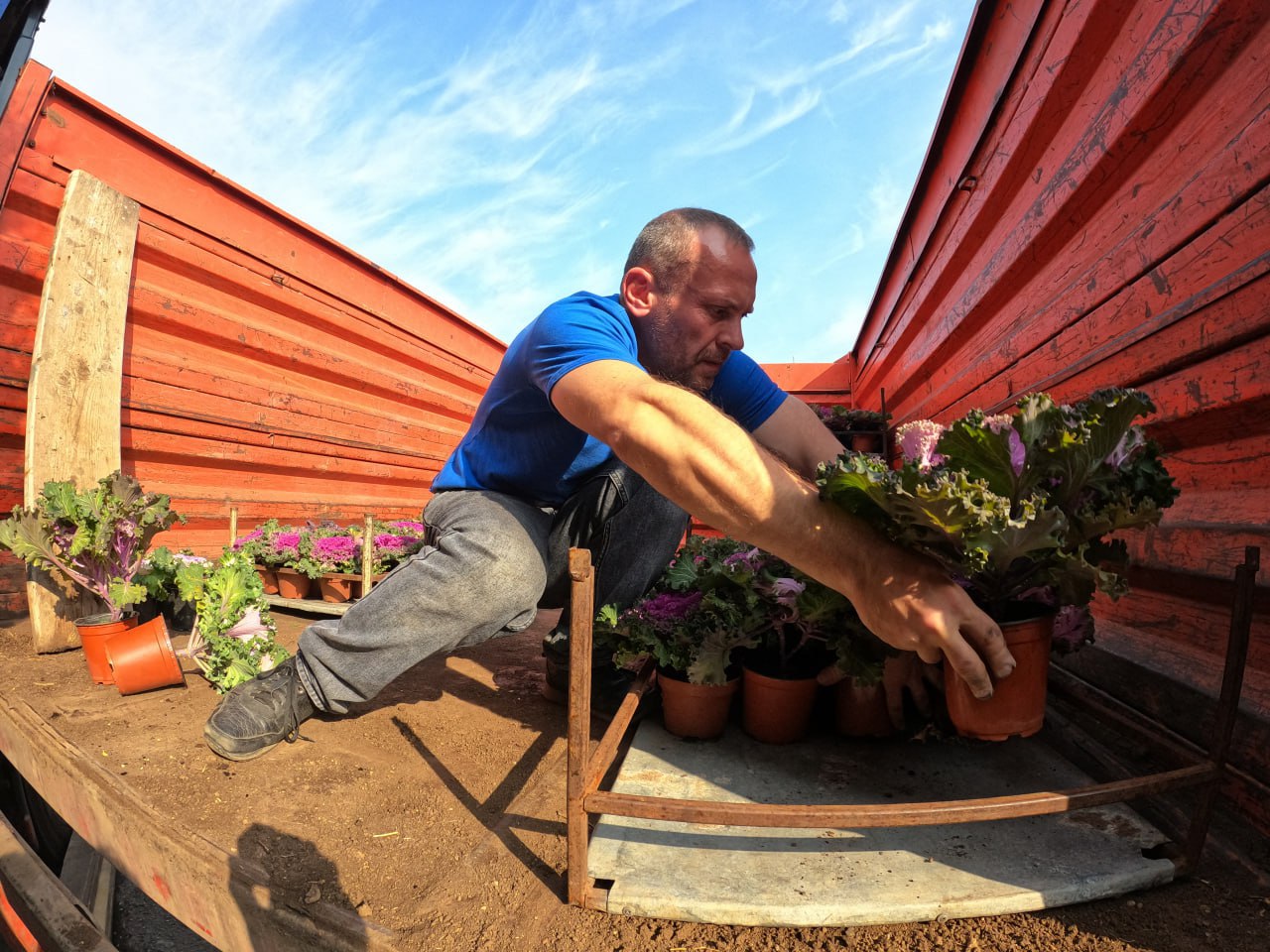 Янина Павленко: Сегодня получили большую партию саженцев – более 1000 единиц древесных и кустарниковых растений Янина Павленко: Сегодня получили большую партию саженцев – более 1000 единиц древесных и кустарниковых растений