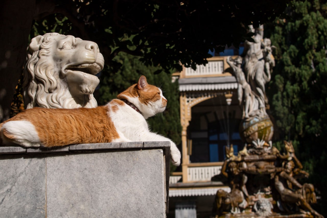 Кот Мостик: Как и обещал, приглашаю вас на прогулку по Гурзуфскому парку