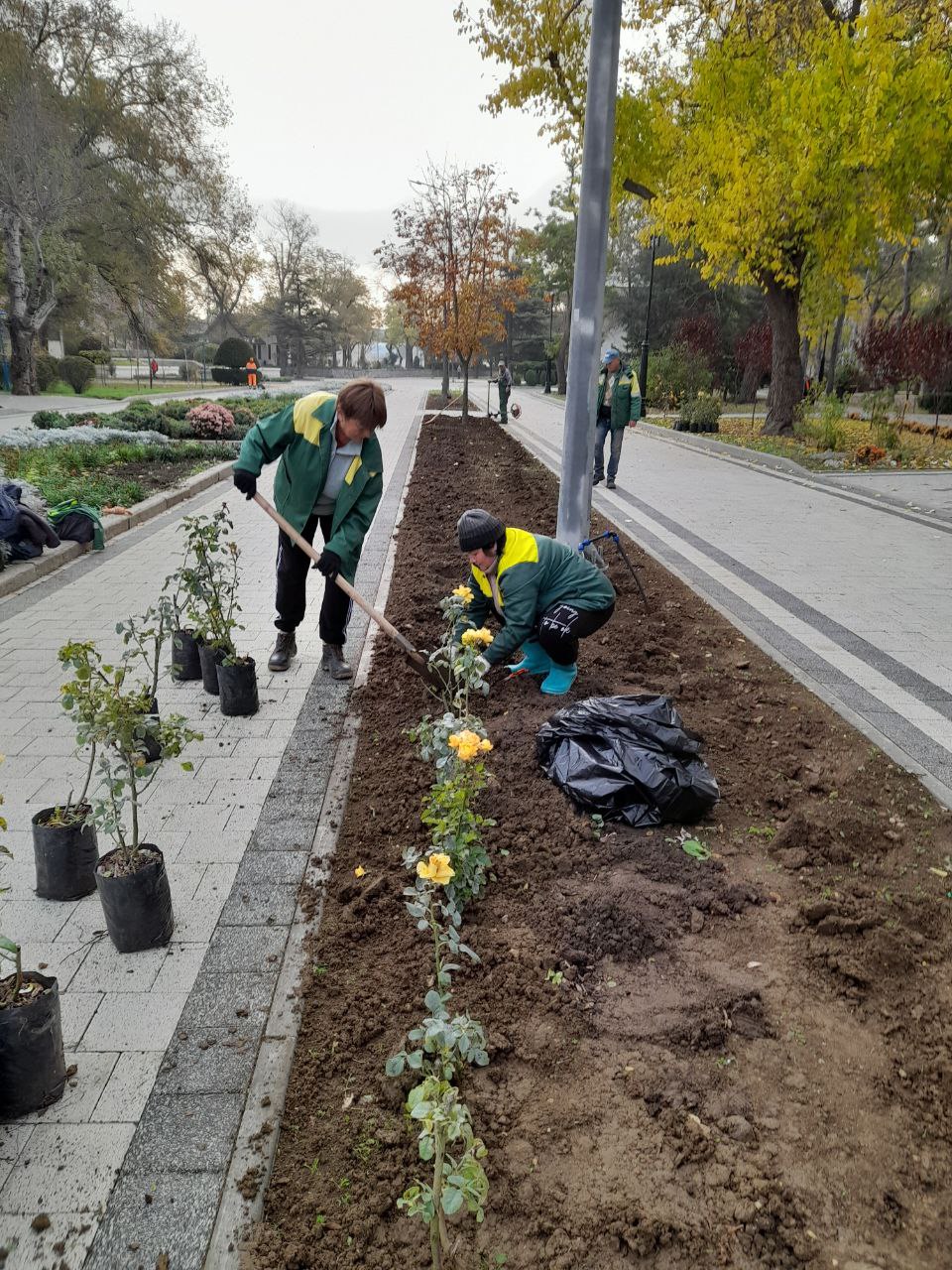 В Феодосии продолжается высадка цветущих многолетников В Феодосии продолжается высадка цветущих многолетников