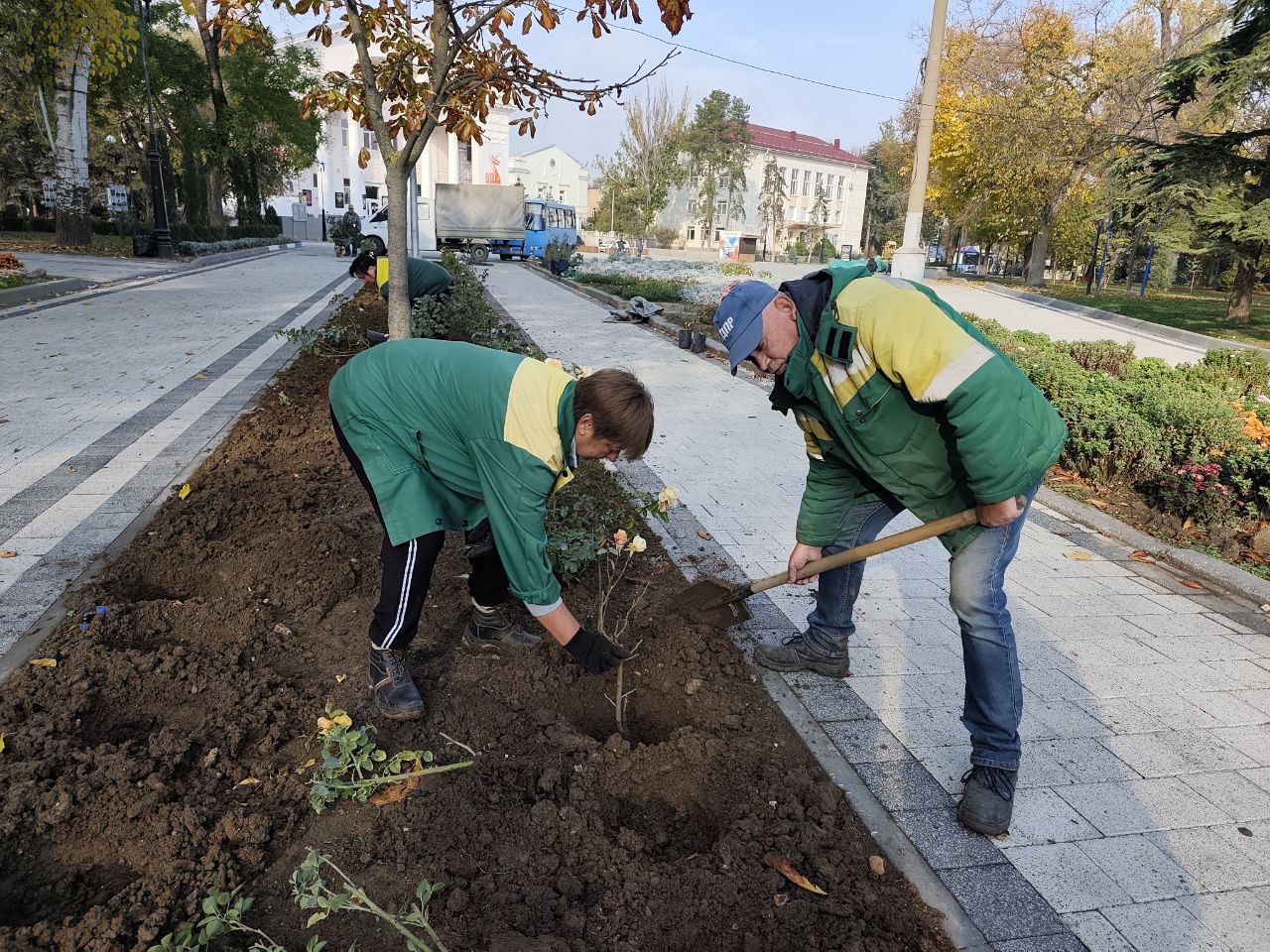 В Феодосии продолжается высадка цветущих многолетников В Феодосии продолжается высадка цветущих многолетников