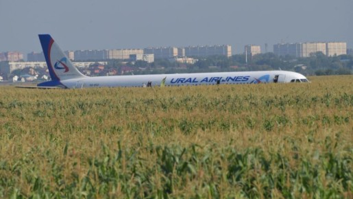 "Чудо на кукурузном поле": Самолет "Уральских авиалиний" после столкновения с птицами мог продолжить полёт, но теоретически и без гарантий