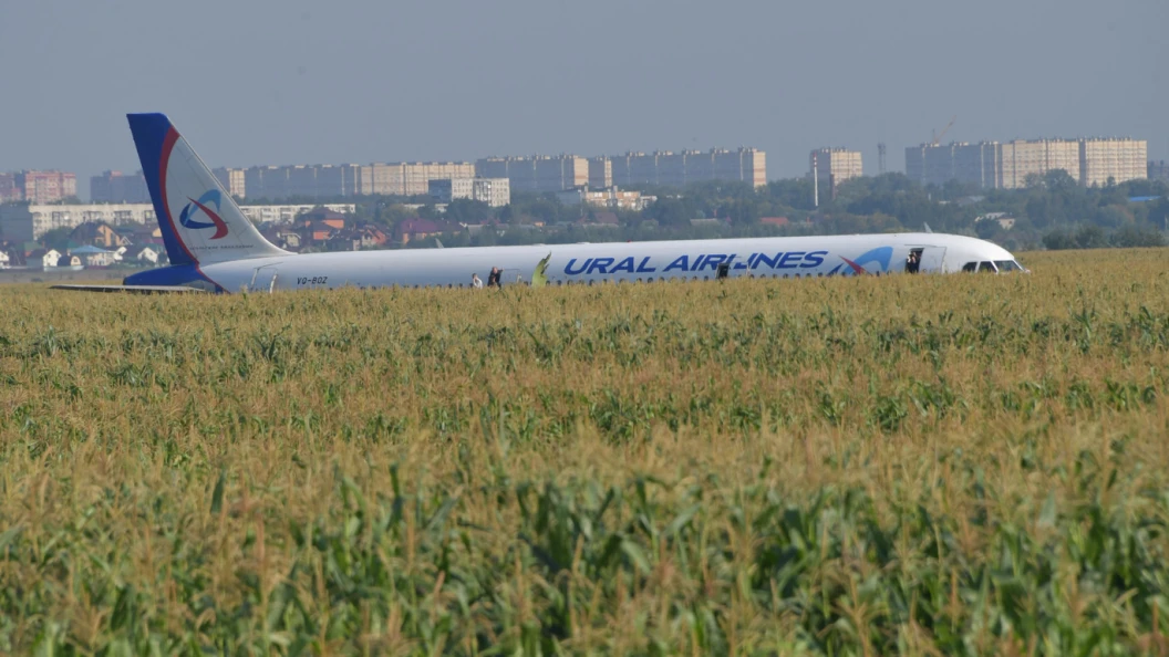 "Чудо на кукурузном поле": Самолет "Уральских авиалиний" после столкновения с птицами мог продолжить полёт, но теоретически и без гарантий