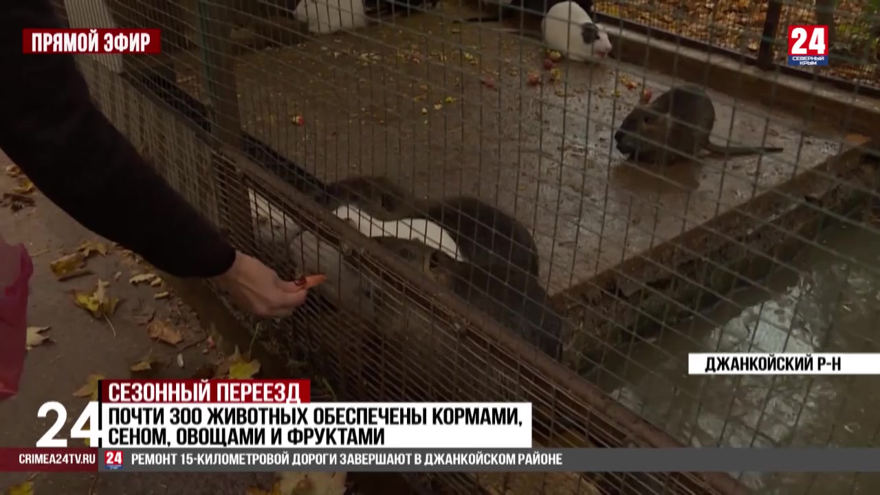 Постояльцев зооуголка в Джанкойском районе готовят к зиме