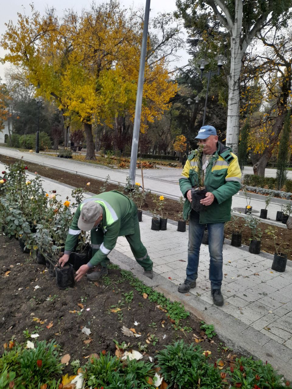 В Феодосии продолжается высадка цветущих многолетников В Феодосии продолжается высадка цветущих многолетников