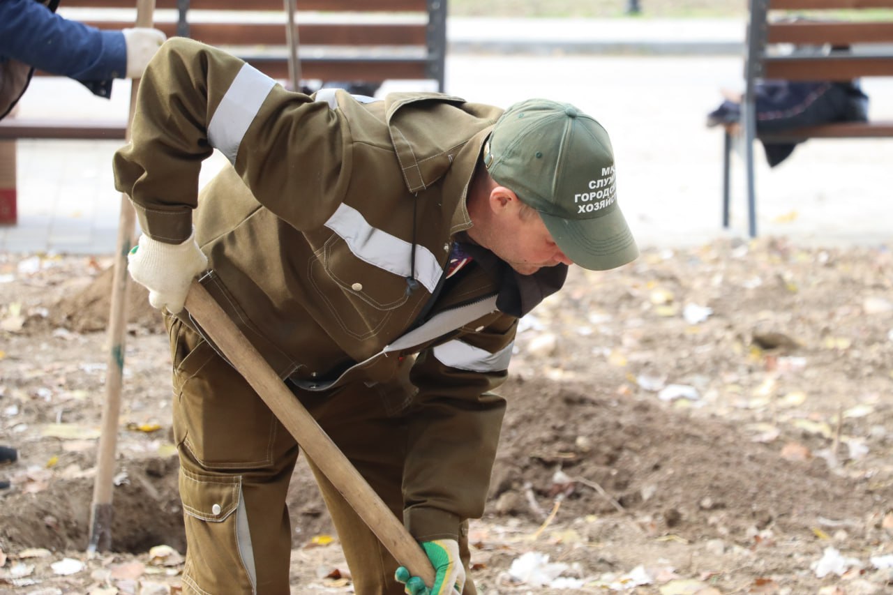 Олег Каторгин: В Керчи до конца месяца высадят около 70 деревьев Олег Каторгин: В Керчи до конца месяца высадят около 70 деревьев