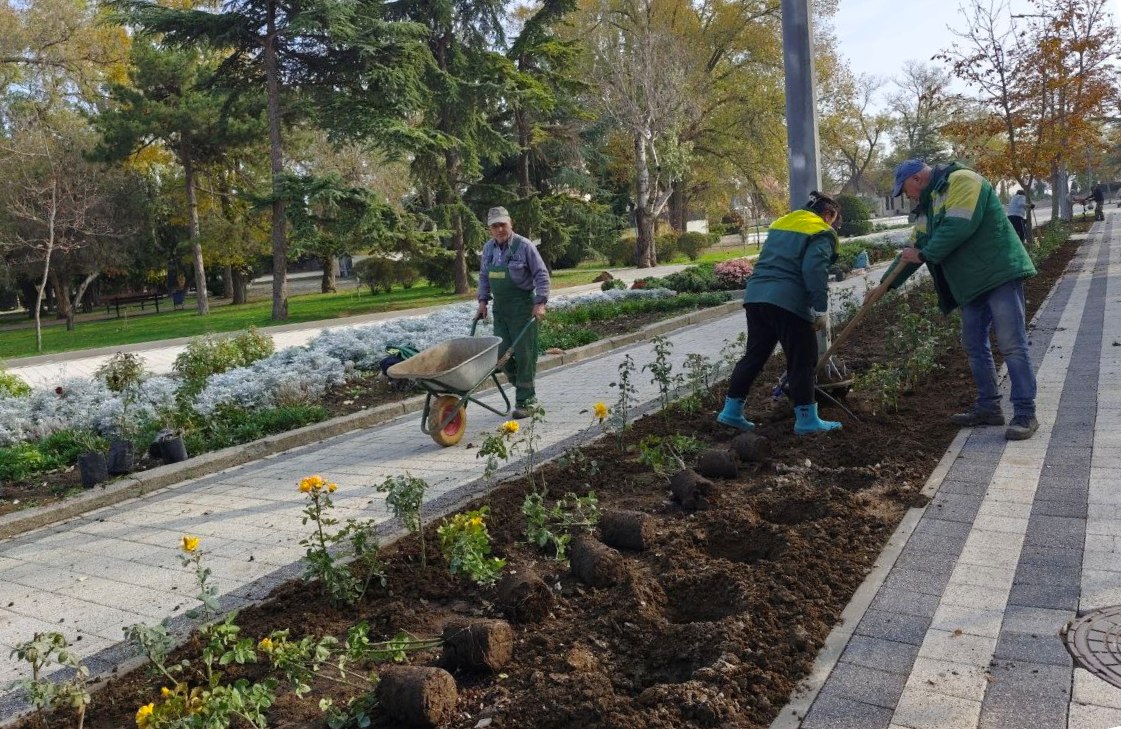В Феодосии продолжается высадка цветущих многолетников В Феодосии продолжается высадка цветущих многолетников
