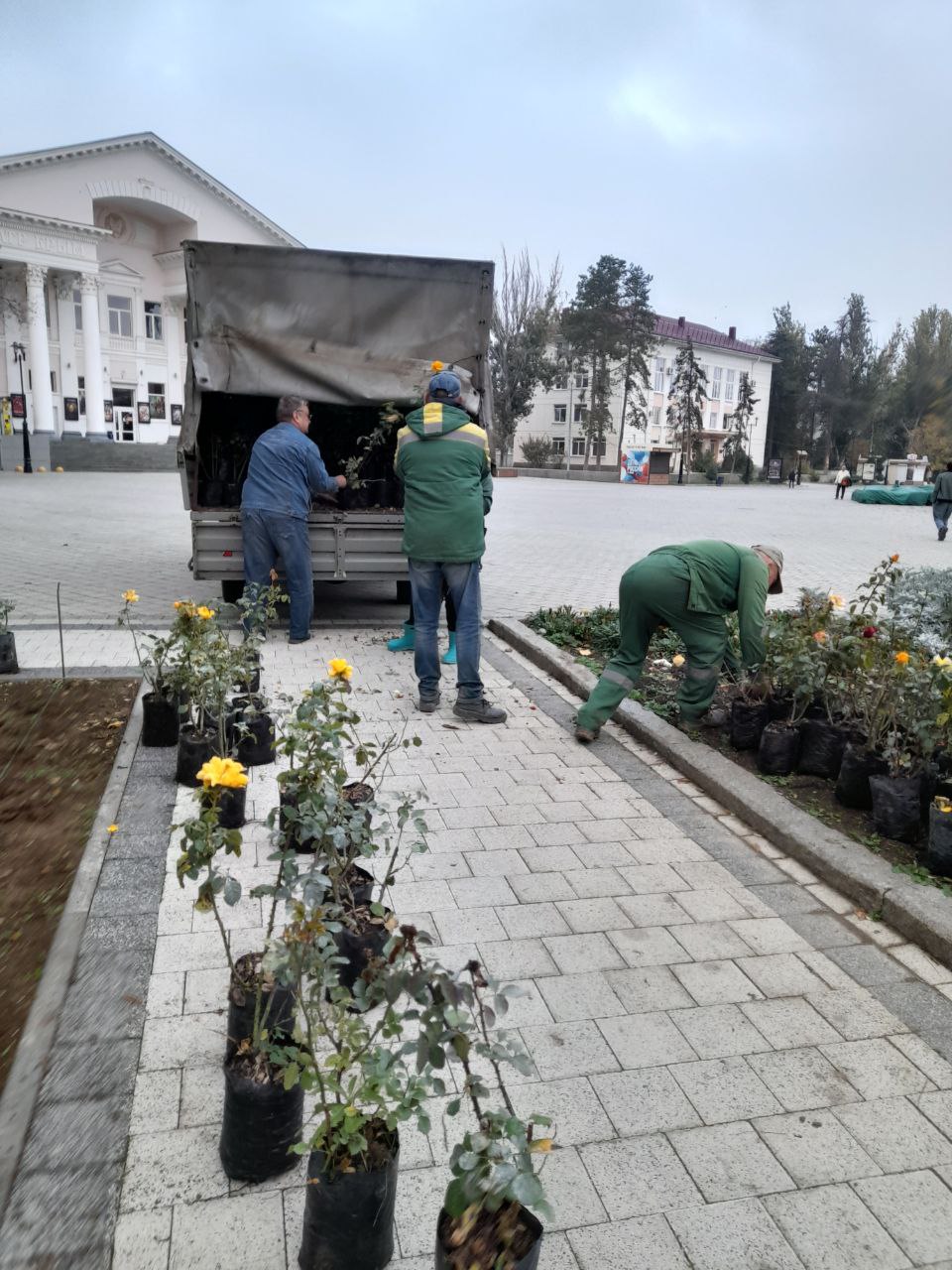 В Феодосии продолжается высадка цветущих многолетников В Феодосии продолжается высадка цветущих многолетников