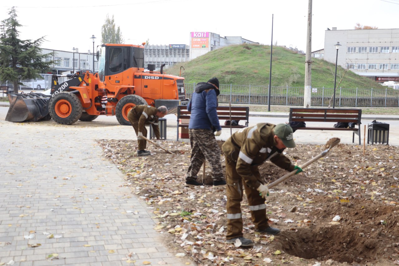 Олег Каторгин: В Керчи до конца месяца высадят около 70 деревьев Олег Каторгин: В Керчи до конца месяца высадят около 70 деревьев