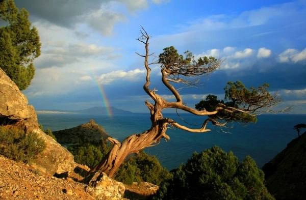 Александр Коц: ВЕЧЕРНИЙ ЗВОН:. экскурсия уходящего дня Александр Коц: ВЕЧЕРНИЙ ЗВОН:. экскурсия уходящего дня