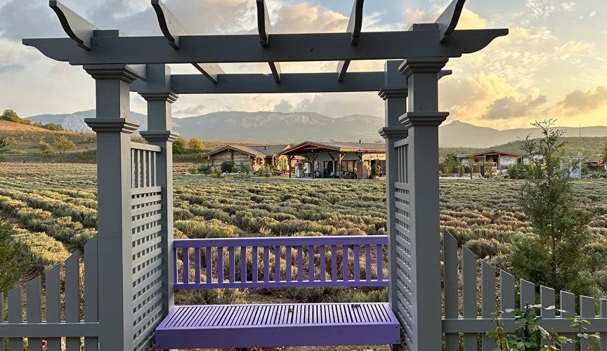 Прогулки с аудиогидом среди ароматов: что предлагает ферма Viva Lavanda в межсезонье Прогулки с аудиогидом среди ароматов: что предлагает ферма Viva Lavanda в межсезонье