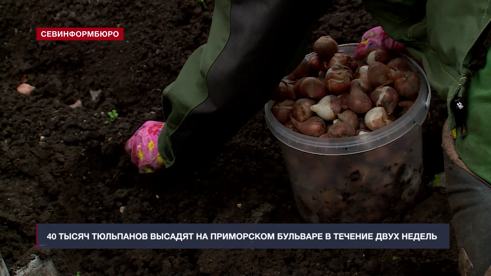 Основные события недели в Севастополе: 3 ноября – 9 ноября Основные события недели в Севастополе: 3 ноября – 9 ноября