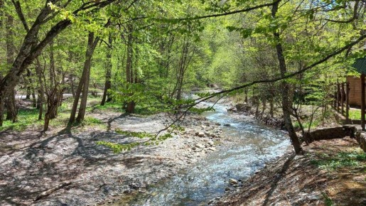 Опасного рака-вселенца нашли в крымских реках