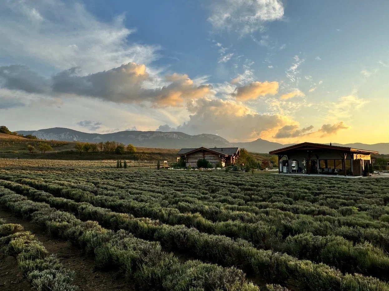 Прогулки с аудиогидом среди ароматов: что предлагает ферма Viva Lavanda в межсезонье Прогулки с аудиогидом среди ароматов: что предлагает ферма Viva Lavanda в межсезонье