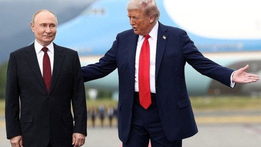   -31,      ,    :   11 