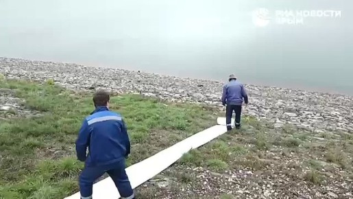 97 тысяч мальков белого амура и толстолобика выпустили в Симферопольское водохранилище